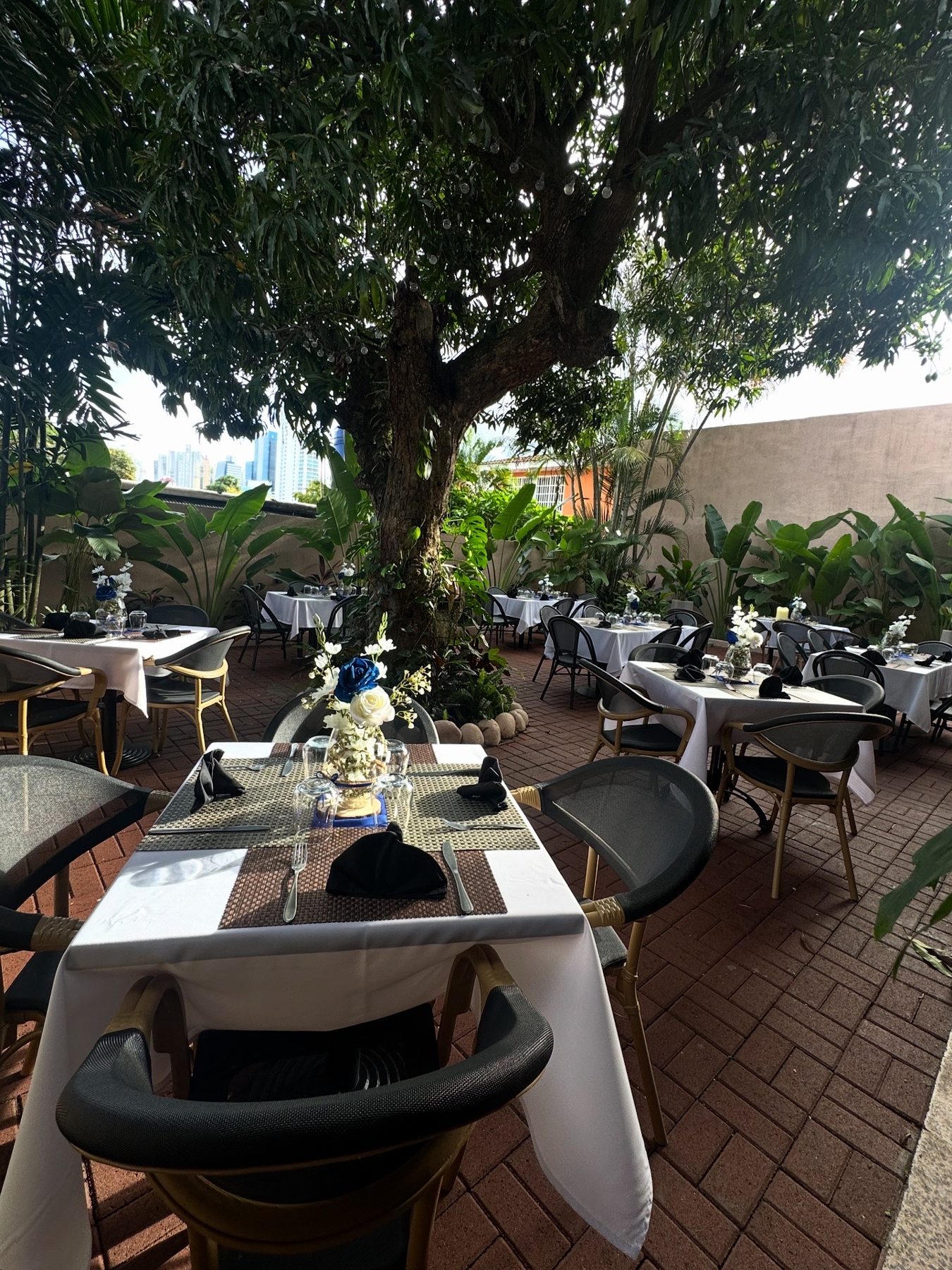 Terraza de Pastissima El Origen montada para un evento bajo el árbol