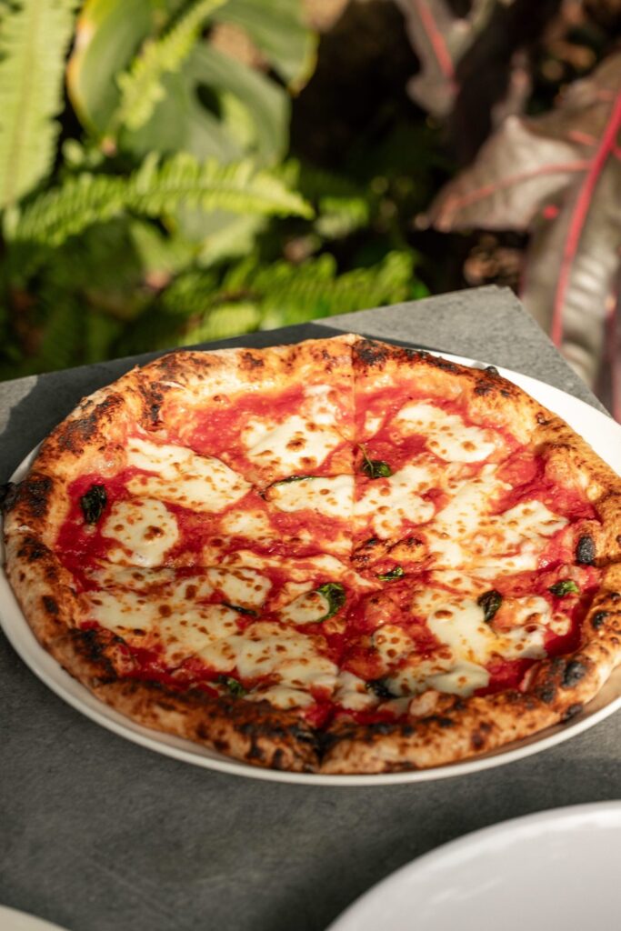 Pizza margherita